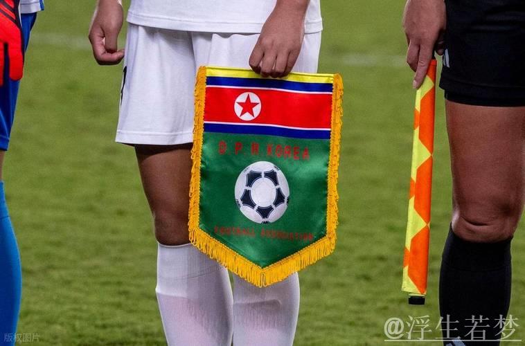 朝鲜转播英超:延迟5个月,每场缩至60分钟,屏蔽孙兴慜比赛 朝鲜转播英超:延迟5个月,每场缩至60分钟,屏蔽孙兴慜比赛